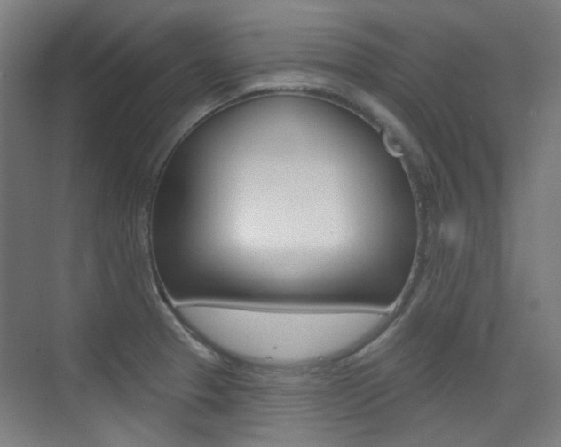X0000075351329200609080802