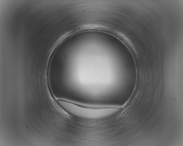 X0000075351330200609080803