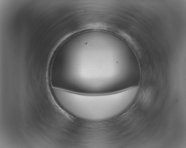 X0000075351331200609080803
