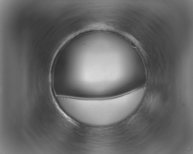X0000075351335200609080803