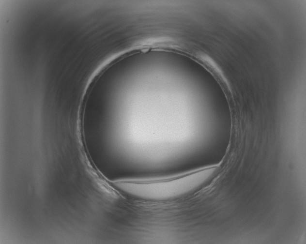 X0000075351336200609080803