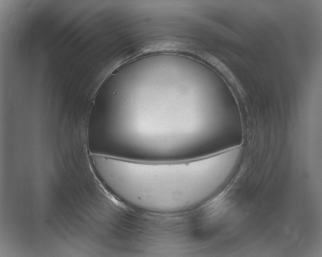 X0000075351337200609080803