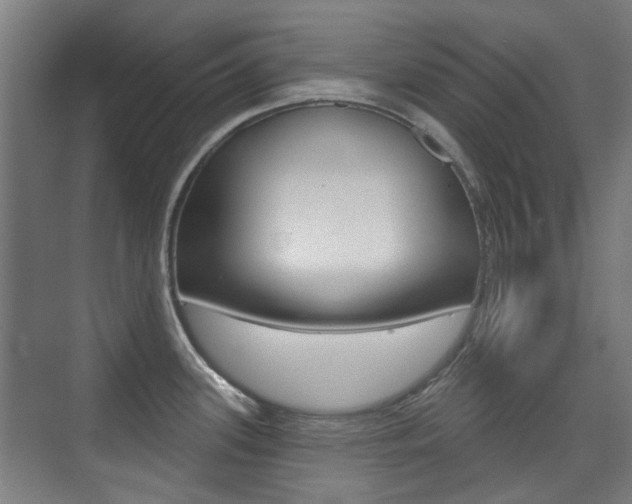X0000075351339200609080803