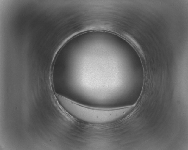 X0000075351340200609080803