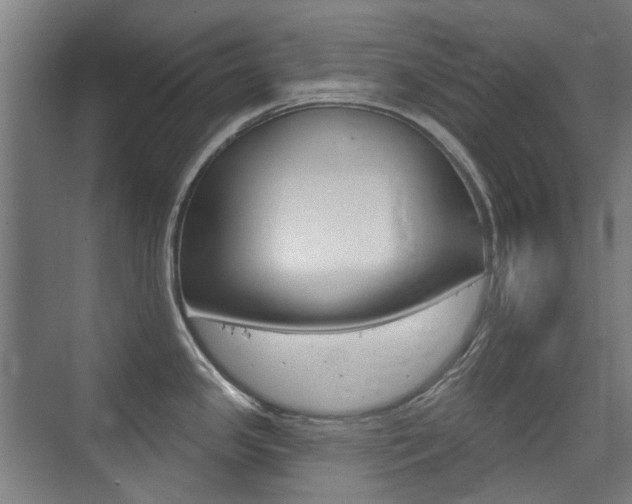 X0000075351341200609080803