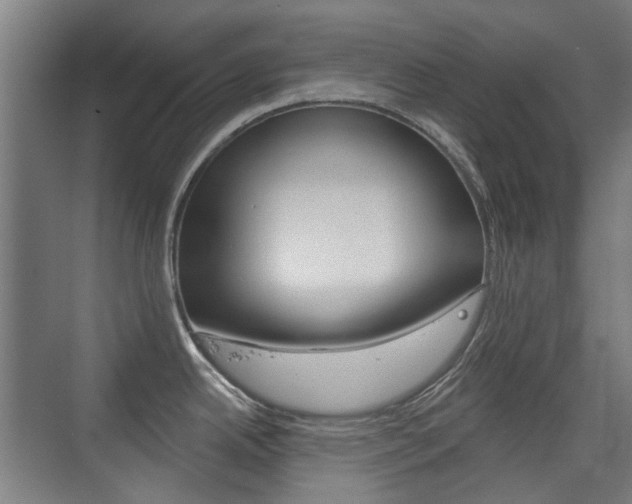 X0000075351342200609080803