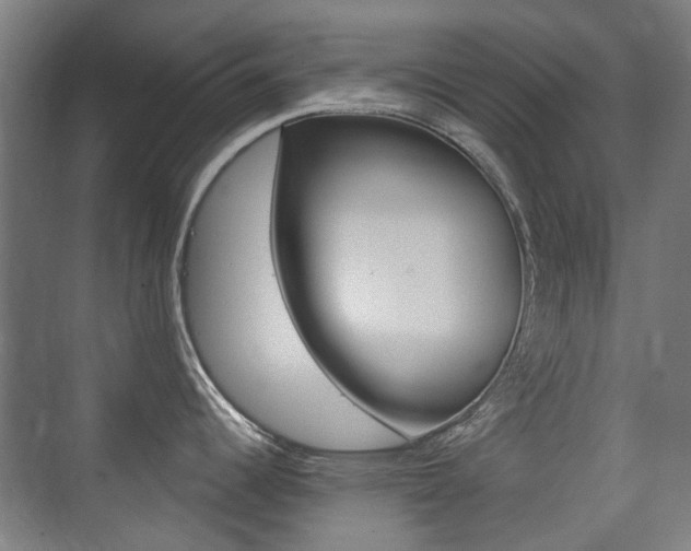 X0000075351344200609080803