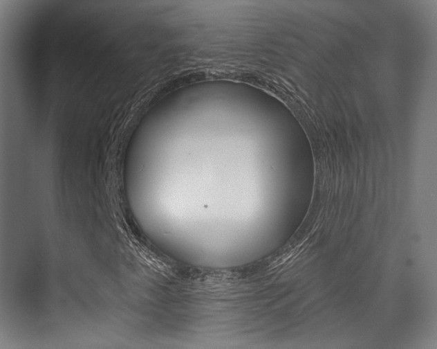 X0000075351345200609080802