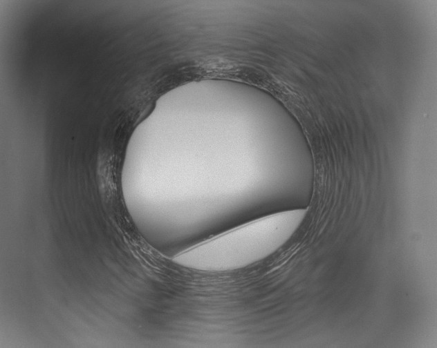 X0000075351346200609080802