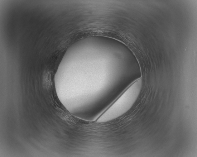 X0000075351347200609080802