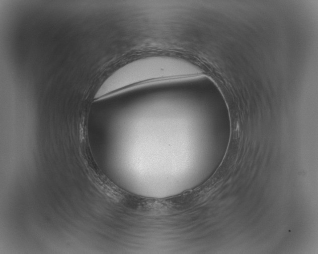 X0000075351348200609080802