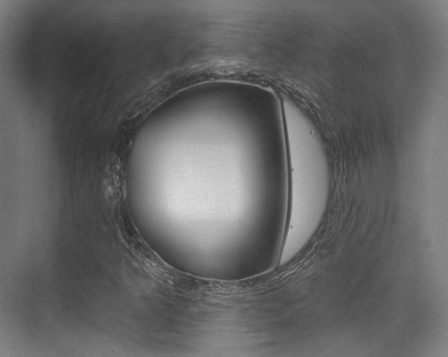 X0000075351349200609080802