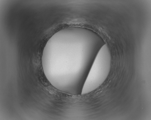 X0000075351350200609080802