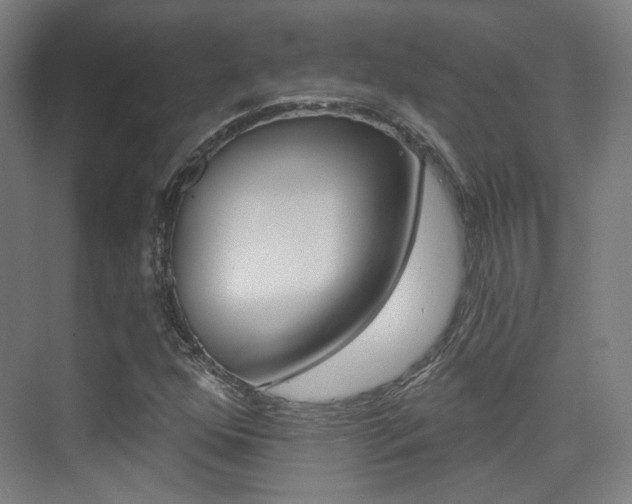 X0000075351352200609080802