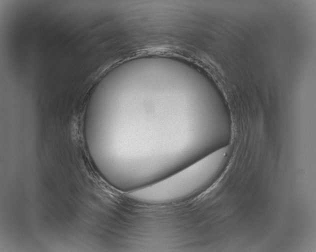 X0000075351353200609080802