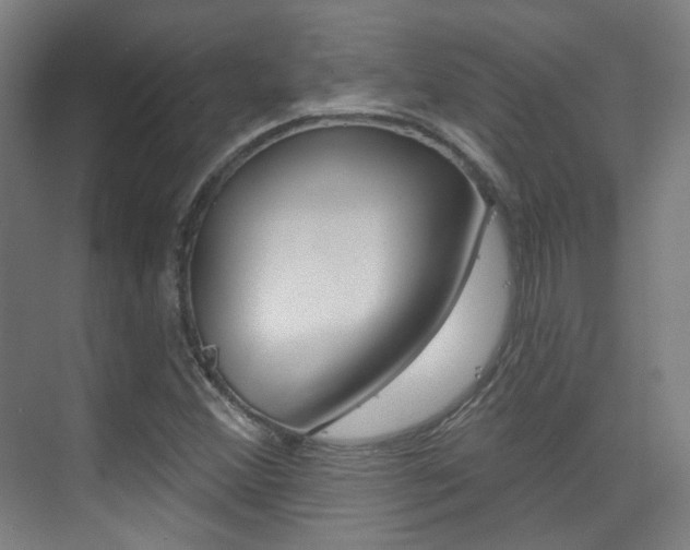 X0000075351356200609080802
