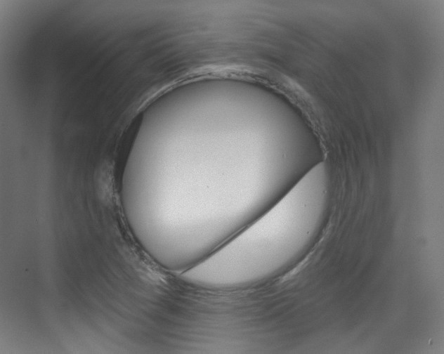 X0000075351361200609080802