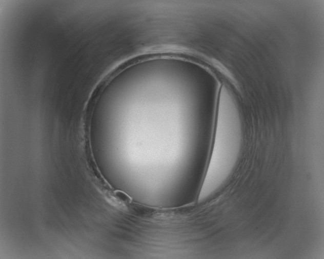 X0000075351364200609080802