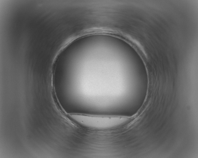 X0000075351365200609080802