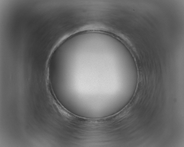 X0000075351366200609080802