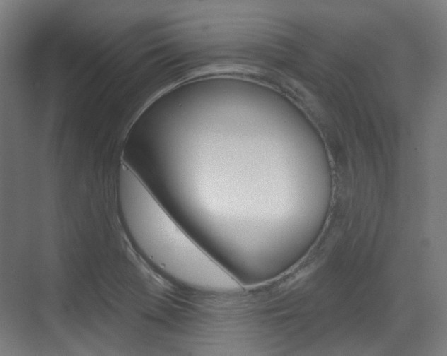 X0000075351369200609080802