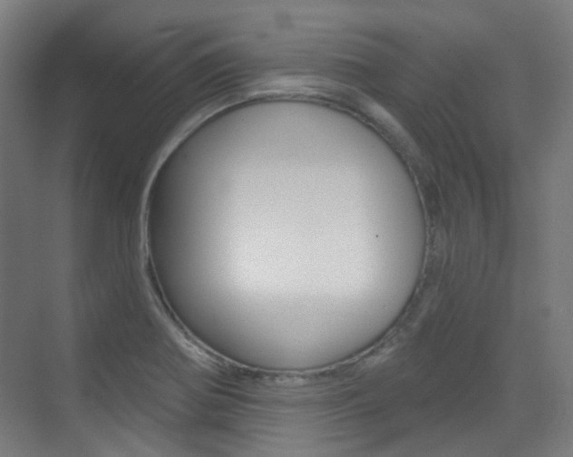 X0000075351370200609080802