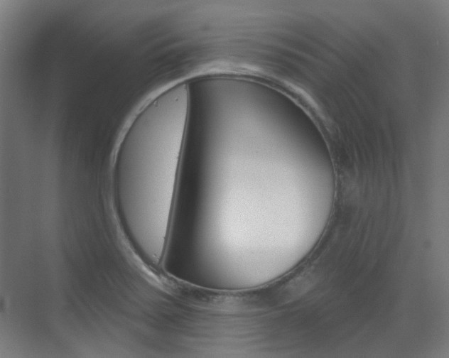 X0000075351371200609080801