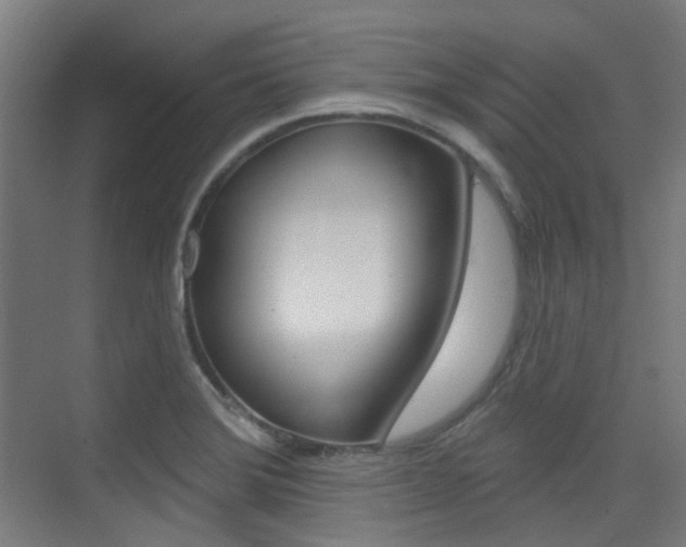 X0000075351372200609080801
