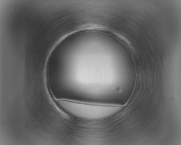 X0000075351375200609080801