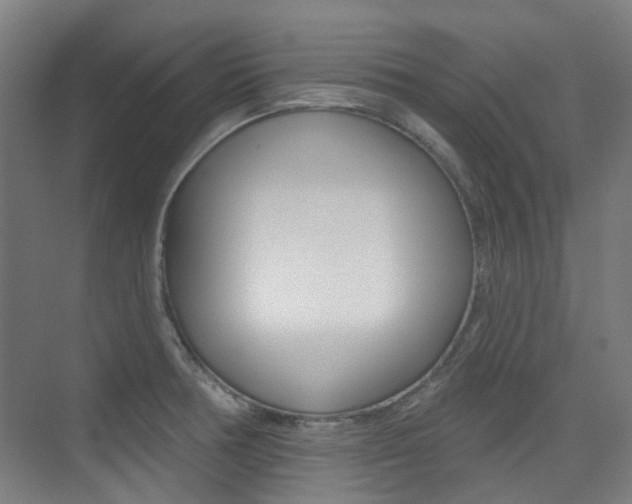 X0000075351378200609080801