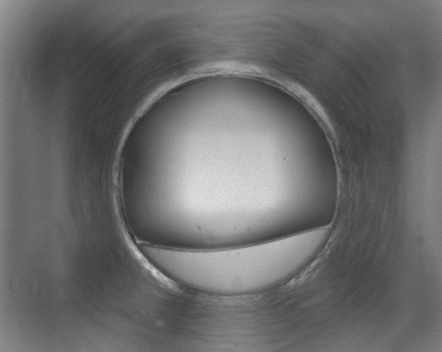 X0000075351381200609080801