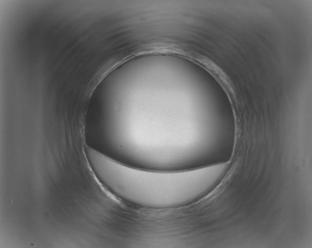 X0000075351385200609080801