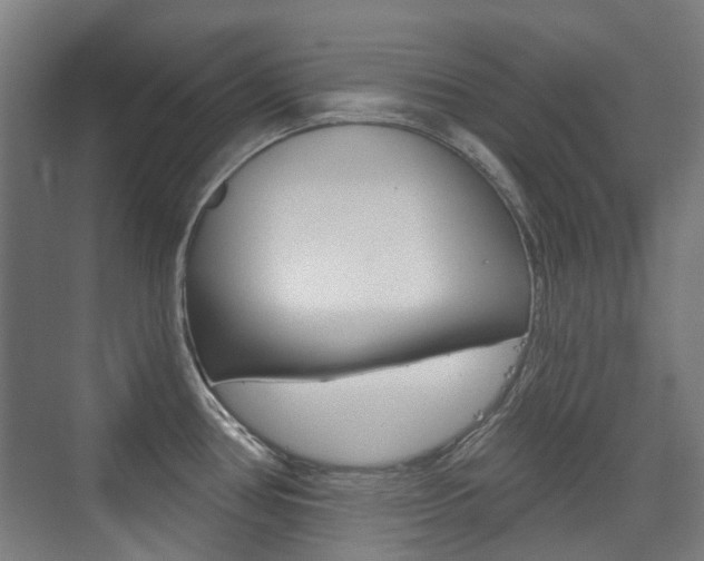 X0000075351386200609080801