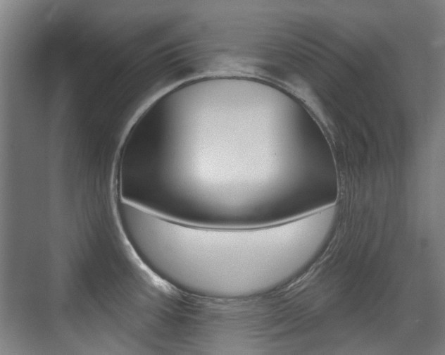 X0000075351387200609080801