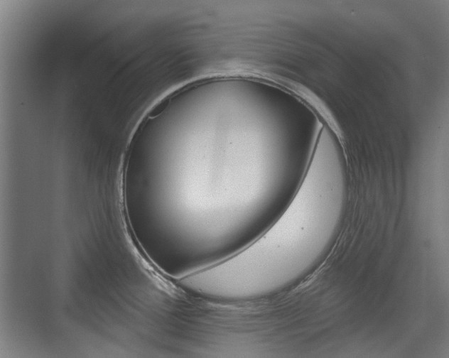 X0000075351388200609080801