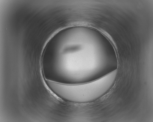 X0000075351389200609080801