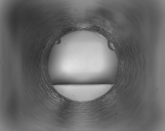 X0000075351393200609080800