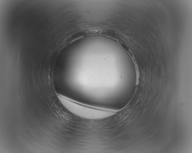 X0000075351394200609080800