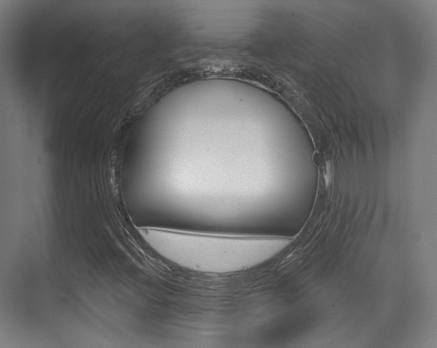X0000075351396200609080800