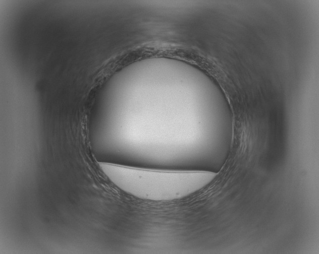 X0000075351397200609080800