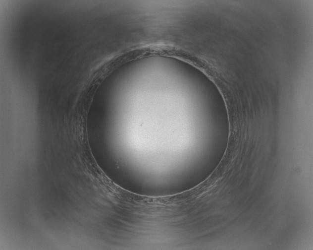 X0000075351398200609080800
