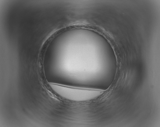 X0000075351400200609080800