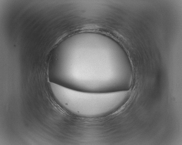X0000075351401200609080800