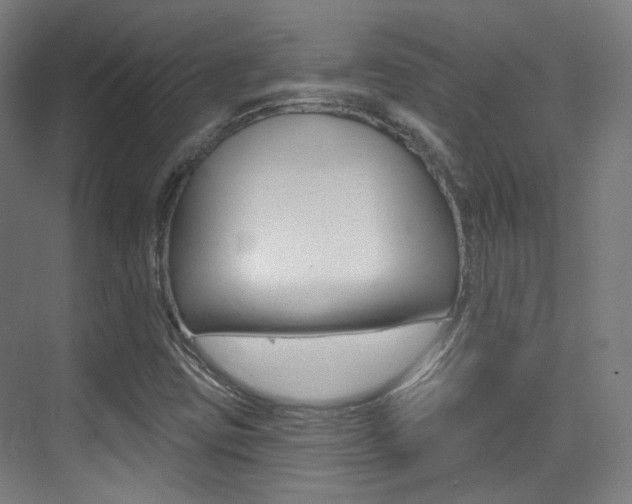 X0000075351403200609080800