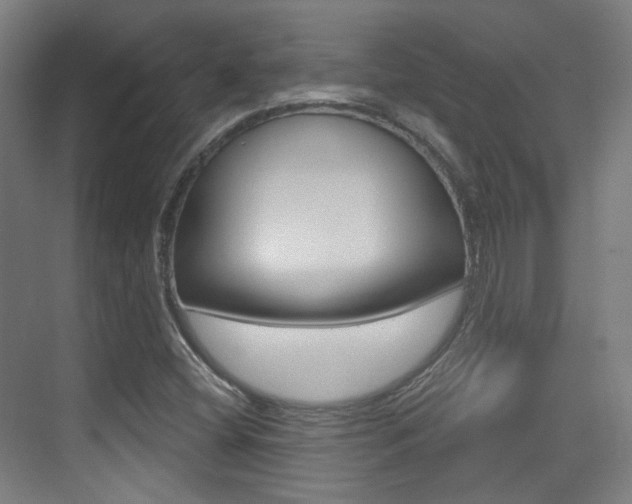 X0000075351404200609080801