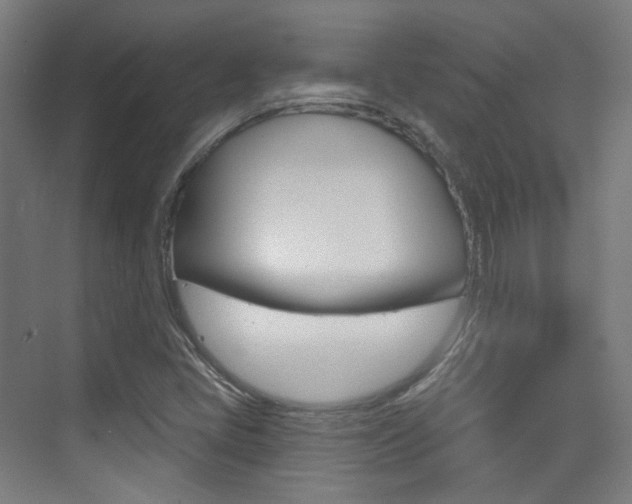 X0000075351405200609080801