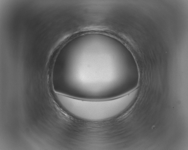 X0000075351406200609080801