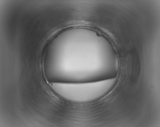 X0000075351407200609080801
