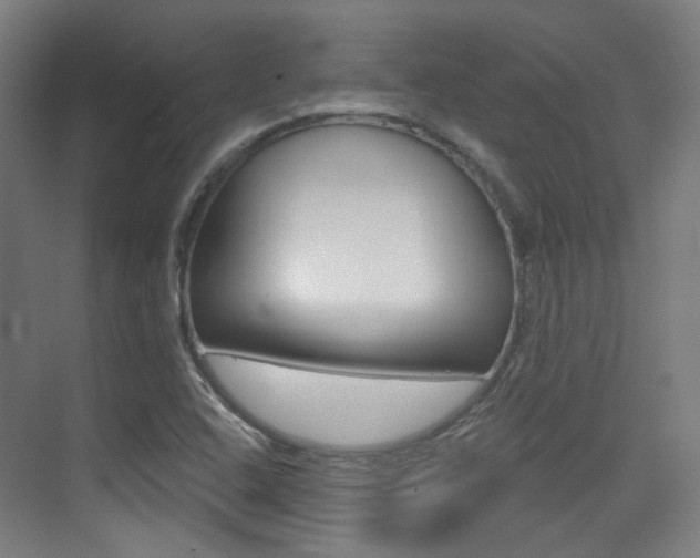 X0000075351408200609080801