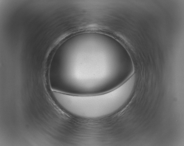 X0000075351410200609080801